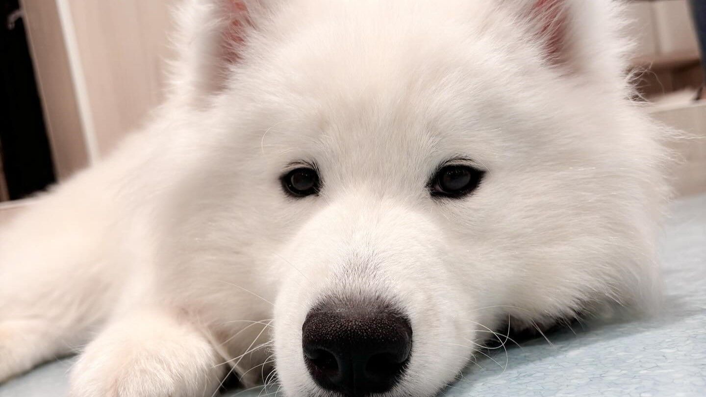 61e8ce6f.jpg?1729667446