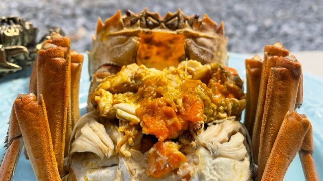 蓮華 レンゲ 14cm 台湾ネオン 陶磁器（ 食洗機対応 れんげ 蓮華 陶器製 中華