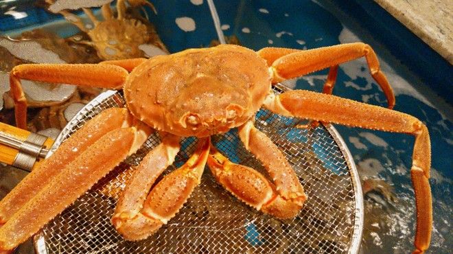 銀座 蟹みつ - Restaurant Guide - TableCheck